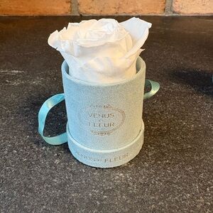 Brand New Venus Et Fleur White Rose in Blue Box